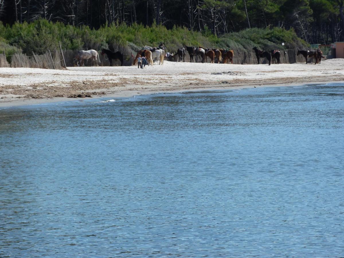 Affittacamere A Due Passi Dal Mare Marina di Cecina Exteriér fotografie